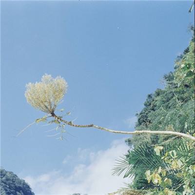 疯狂切割官方版下载